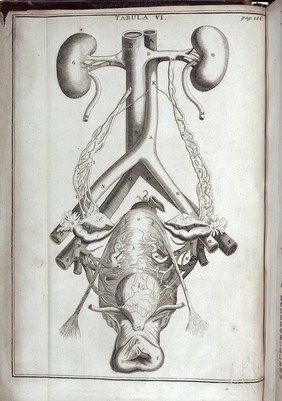 The anatomy of human bodies. Comprehending the most modern discoveries and curiosities in that art. To which is added a particular treatise of the small-pox and measles. Together with several practical observations and experienced cures. With 139 figures curiously cut in copper, representing the several parts and operations. Written in Latin by Isbrand de Diemerbroeck ... Translated from the last and most correct and full edition of the same / by William Salmon.