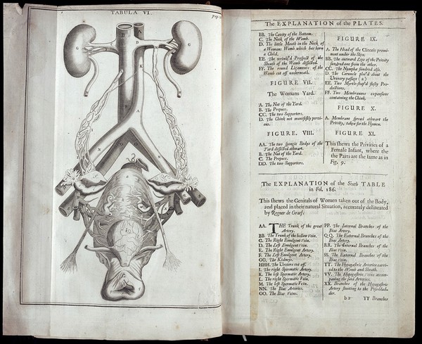 The anatomy of human bodies. Comprehending the most modern discoveries and curiosities in that art. To which is added a particular treatise of the small-pox and measles. Together with several practical observations and experienced cures. With 139 figures curiously cut in copper, representing the several parts and operations. Written in Latin by Isbrand de Diemerbroeck ... Translated from the last and most correct and full edition of the same / by William Salmon.
