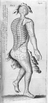 A treatise on acupuncturation; being a description of a surgical operation originally peculiar to the Japonese [sic] and Chinese, and by them denominated Zin-King, now introduced into European practice, with directions for its performance, and cases illustrating its success / [James Morss Churchill].