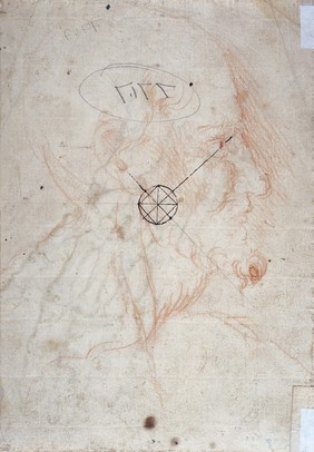 Bones of the human hand and wrist, and of the elbow joint (recto); head of a man (verso). Drawing by a draftsman of the school of Michelangelo.