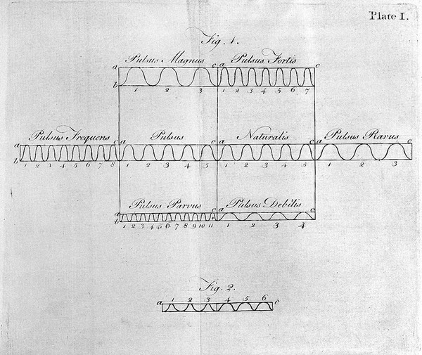 Physiological essays and observations ... / [John Stedman].