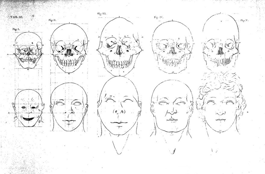 The works of the late Professor Camper, on the connexion between the science of anatomy and the arts of drawing, painting, statuary, etc. ... / Illustrated with seventeen plates.