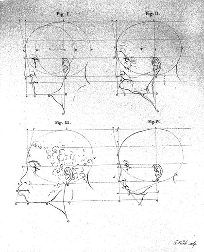 The works of the late Professor Camper, on the connexion between the science of anatomy and the arts of drawing, painting, statuary, etc. ... / Illustrated with seventeen plates.