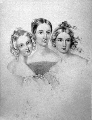 Beauty: illustrated chiefly by an analysis and classification of beauty in women / Preceded by a critical view of the general hypotheses respecting beauty, by Hume, Hogarth, Burke, Knight, Alison, etc., and followed by a similar view of the hypotheses of beauty in sculpture and painting by Leonardo da Vinci, Winckelmann, Mengs, Bossi, etc. By Alexander Walker. Illustrated by drawings from life, by Henry Howard.