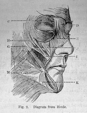 The expression of the emotions in man and animals / by Charles Darwin.