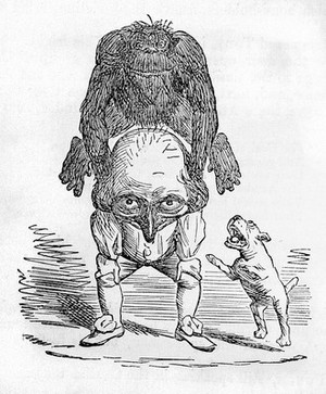 view Gorilla, man & dog, 'Punch', vol.40