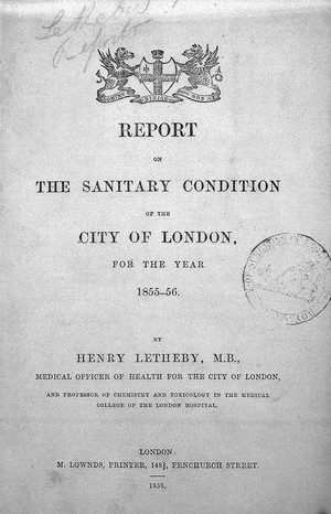 view Report on the santitary condition of the Cit