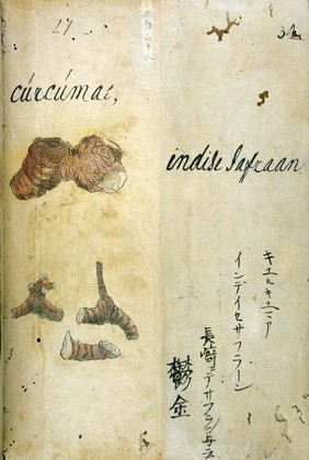 Japanese Herbal, 17th century