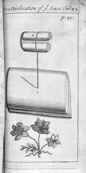 A description of bandages and dressings, according to the most commodious ways now used in France / Written in French ... Translated into English [from 'L'appareil commode'].