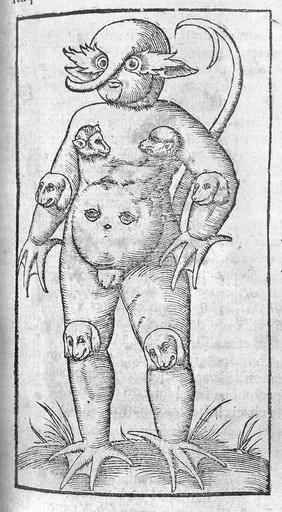 Cosmographiae universalis libri VI in quibus ... describuntur, omnium habitabilis orbis partes situs, propriaeque dotes.