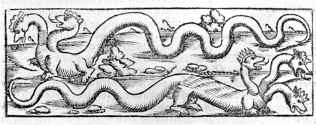 Cosmographiae universalis libri VI in quibus ... describuntur, omnium habitabilis orbis partes situs, propriaeque dotes.