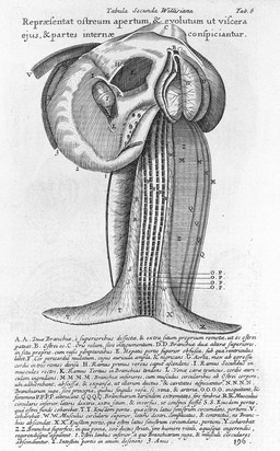 Conchyliorum bivalvium utriusque aquae exercitatio anatomica tertia. Huic accedit dissertatio medicinalis de calculo humano / [Martin Lister].