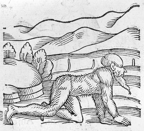 Prodigiorum ac ostentorum chronicon, : quae praeter naturae ordinem, motum, et operationem, et in superioribus & his inferioribus mundi regionibus, ... / per Conradum Lycosthenem.