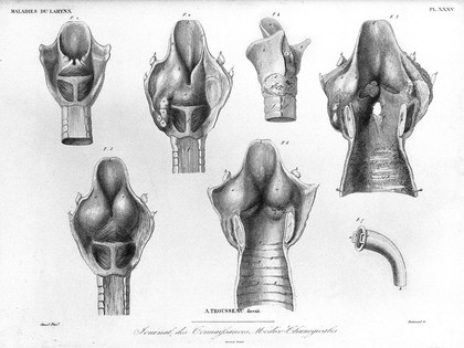 Journal des connaissances médico-chirurgicales.