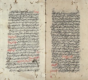 view Oriental Collections: Arabic Manuscript 185