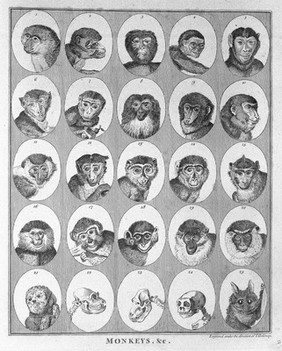 Essays on physiognomy; designed to promote the knowledge and the love of mankind / ... Illustrated by more than eight hundred engravings accurately copied; and some duplicates added from originals. Executed by, or under the inspection of Thomas Holloway. Translated from the French by Henry Hunter.