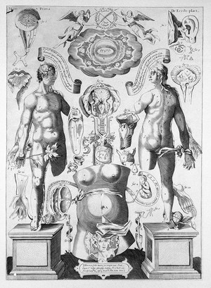 view Dissection du corps humain, Remmelin, c.1640