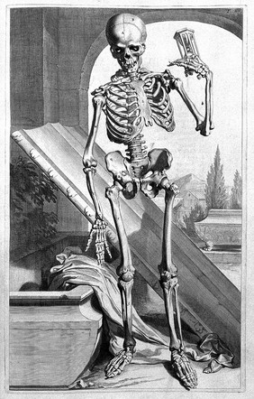 Anatomia humani corporis, 105 tabulis / per ... G. de Lairesse ... delineatis, demonstrata.