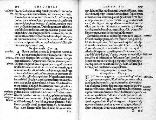 Anatomicarum institutionum, ex Galeni sententia, libri IIII ... / per Ioannem Guinterium Andernacum ... ; nunc recens ab ipso autore & recogniti, & aucti. His accesserunt Theophili Protospatarii de corporis humani fabrica libri V. Iunio Paulo Crasso ... interprete. Item Hippocratis ... de medicamentis purgatorijs libellus nunquam ante nostra tempora in lucem editus, eodem Iun. Paulo Crasso interprete.