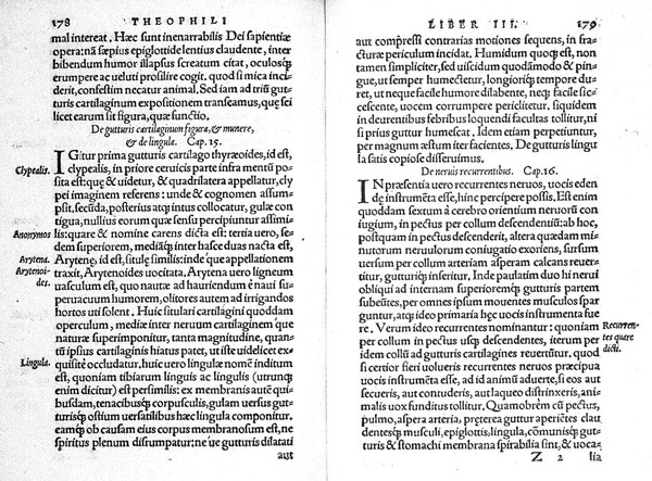 Anatomicarum institutionum, ex Galeni sententia, libri IIII ... / per Ioannem Guinterium Andernacum ... ; nunc recens ab ipso autore & recogniti, & aucti. His accesserunt Theophili Protospatarii de corporis humani fabrica libri V. Iunio Paulo Crasso ... interprete. Item Hippocratis ... de medicamentis purgatorijs libellus nunquam ante nostra tempora in lucem editus, eodem Iun. Paulo Crasso interprete.