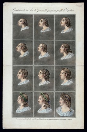 Twelve stages in the sequence from the head of a primitive man to the head of the Apollo Belvedere. Coloured etchings by Christian von Mechel after Lavater, 1797.