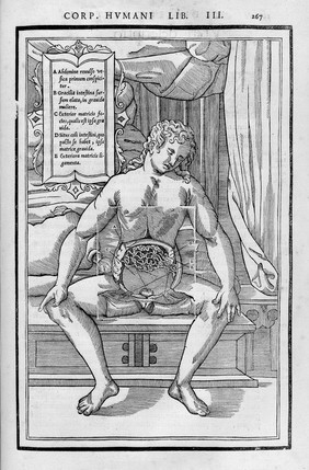 De dissectione partium corporis humani libri tres / à Carolo Stephano, ... Una cum figuris et incisionum declarationibus, a Stephano Riverio chirurgo compositis.