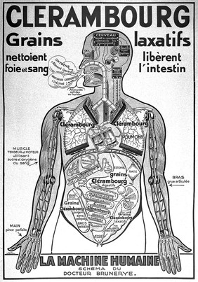 Organs of the human body illustrating the function of the "Clérambourg" laxative. Colour lithograph by Jakil, ca. 1930.