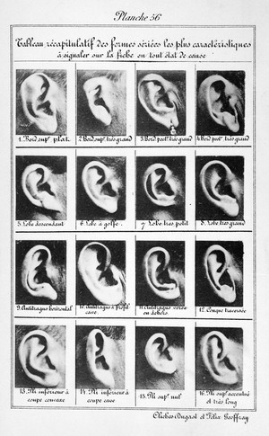 view Bertillon, Instructions Signaletiques Album