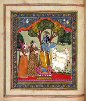 Krsna enchants the natural and human worlds with his flute. Standing in the tribhangi or 'three bends' posture, Krsna plays the flute as enchanted gopis, cattle, and birds look on. A clump of trees act as a sheltering umbrella, the symbol of gods and kings in Indic iconography.