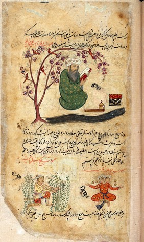 Mercury, sitting reading a book under a tree in bloom with birds in its branches, surrounded by the attributes of the profession of the scribe from Persian Manuscript 373