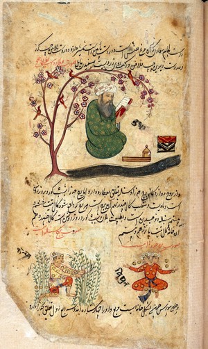 view Mercury, sitting reading a book under a tree in bloom with birds in its branches, surrounded by the attributes of the profession of the scribe from Persian Manuscript 373