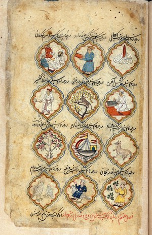 view MS Persian 373, folio 30 recto