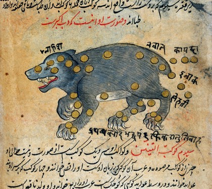 Constellations of Ursa Major, detail, from Persian Manuscript 373