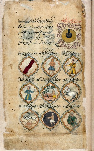 view Showing the last lunar mansion of Scorpio followed by the first degrees into which the sign was divided (from the top down, right to left). 1. A man with a spear in one hand and an eagle perched on the other; 2. A man with a stomach ache; 3. Depiction of flowing blood; 4. A horse; 5. A man tilling the earth to give water to the land; 6. A man beats his chest with his hand; 7. A man beats his head with his hand;, 8. A man digging in a mountain; 9. A scorpion and a snake from Persian Manuscript 373