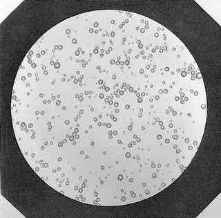 Cours de microscopie complémentaire des études médicales ... / par Al. Donné.