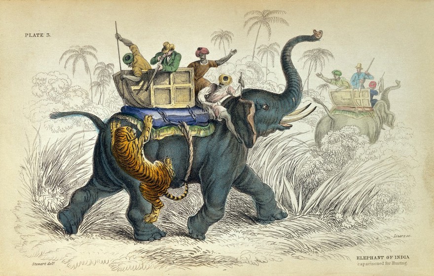 The natural history of the pachydermes. Or, thick-skinned quadrupeds; consisting of the elephants, rhinoceros, hippopotamus, tapir, hog, &c / Illustrated by thirty-two plates, with memoir and portrait of Sir Hans Sloane.