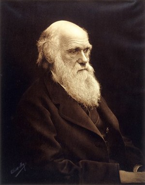 view Portrait photograph of Charles Darwin