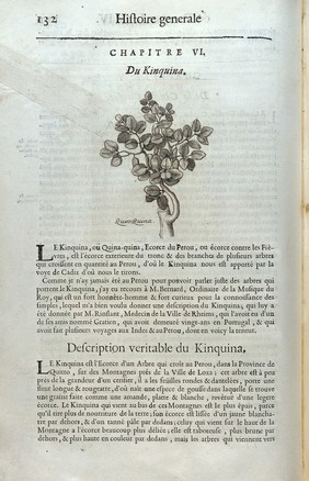 Histoire generale des drogues, traitant des plantes, des animaux, et des mineraux, ouvrage enrichy de plus de quartre cent figures en taillédouce tirées d'après nature; avec un discours qui explique leurs differens noms, les pays d'où elles viennent, la maniere de connoître les veritables d'avec les falsifiées, et leurs proprietez. Où l'on découvre l'erreur des anciens & des modernes / par le sieur Pierre Pomet.