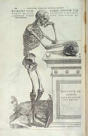 Andreae Vesalii Bruxellensis, scholae medicorum Patauinae professoris De humani corporis fabrica libri septem.