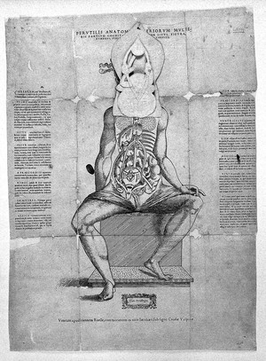 view Anatomical fugitive sheet (female)