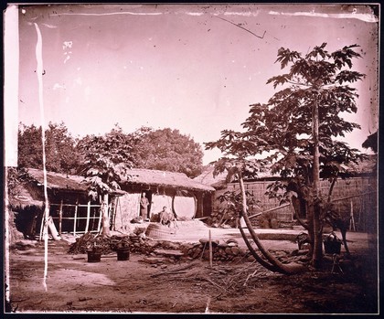 Pepohoan dwellings; Pepohoan house Bak-su, Formosa