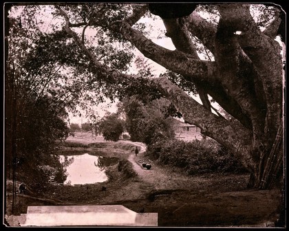 Kwangtung province, China. Photograph, 1981, from a negative by John Thomson, 1870.