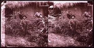 view Costume of Pepohoan woman, Baksa, Formosa