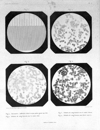 A. Donne & L. Foucault, Cours de Microscopie