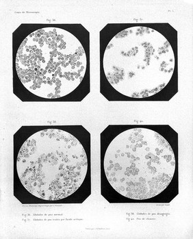 A. Donne & L. Foucault, Cours de Microscopie