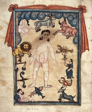 view Naked man surrounded by the twelve symbols of the zodiac.