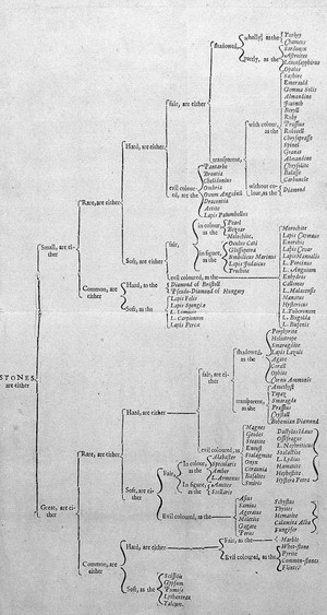 view T. Nicols, Gemmarius Fidelius, or the Faithf