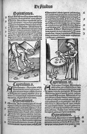 view Hortus Sanitatis, Strasbourg, c. 1497