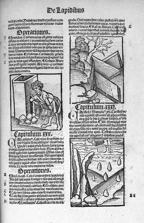 Hortus Sanitatis, Strasbourg, c. 1497