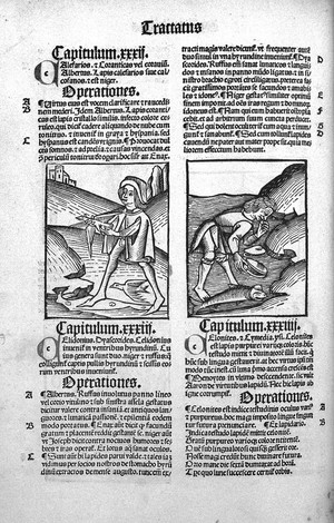 view Hortus Sanitatis, Strasbourg, c. 1497